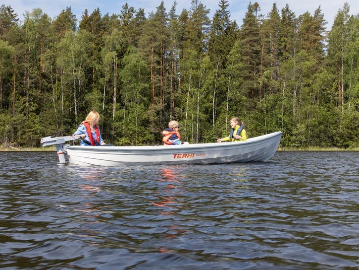 Terhi Saiman Solar - Image 2