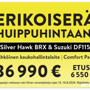 Silver Hawk